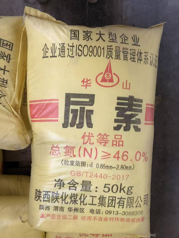 �����w��